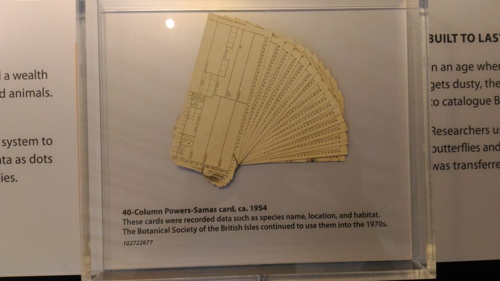 Punched Cards that were used for Survey