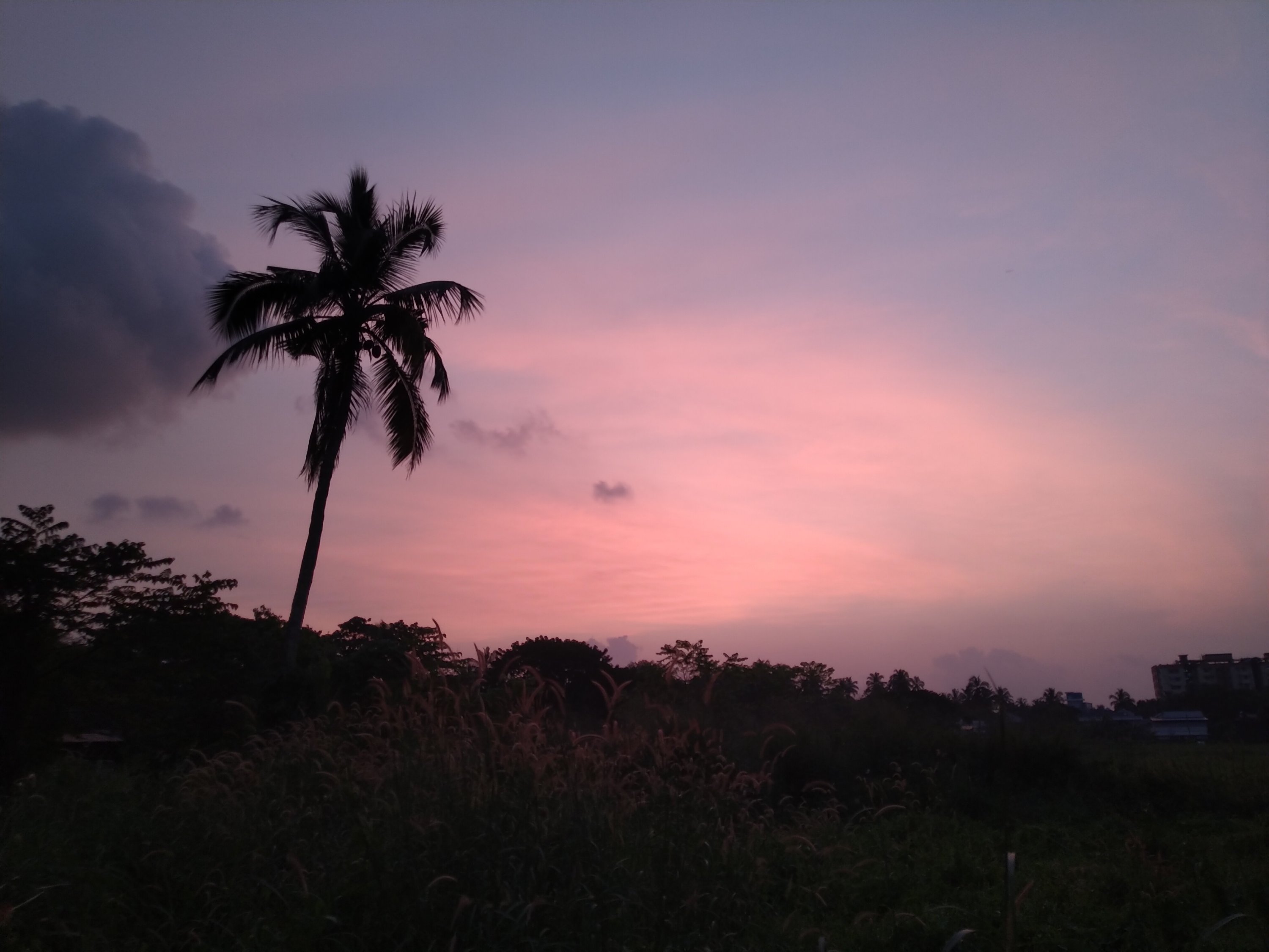 Thrissur