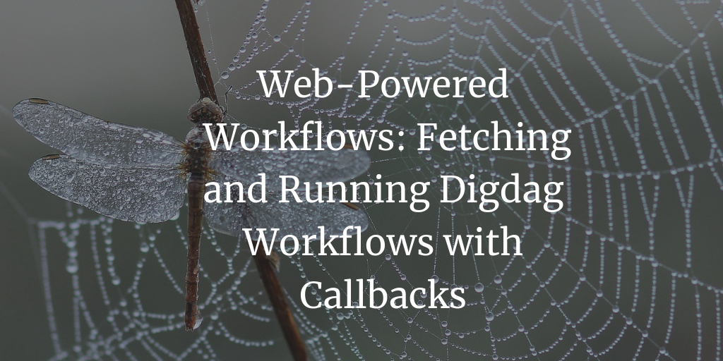 Web-Powered Workflows: Fetching and Running Digdag Workflows with Callbacks