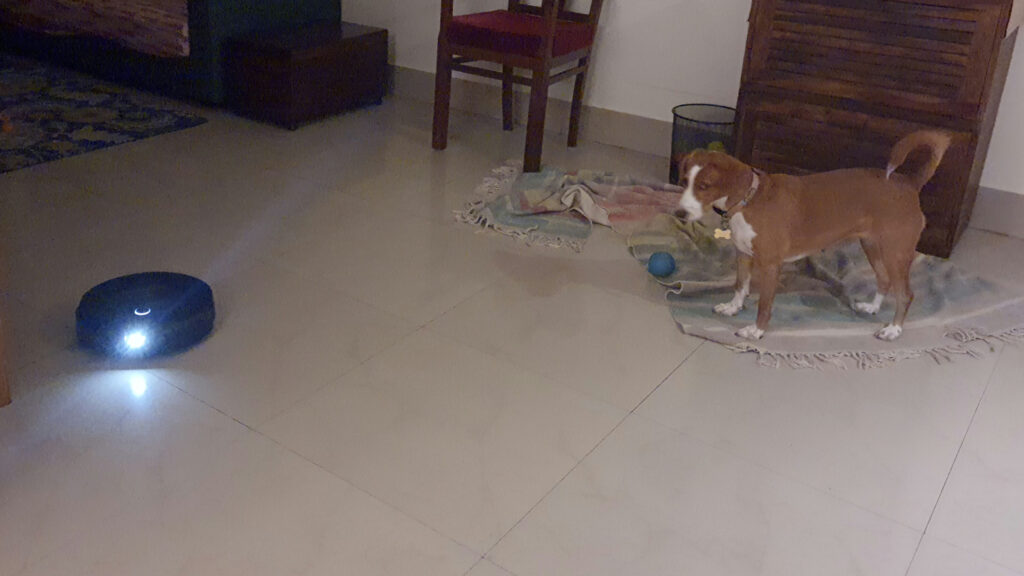 Pathu is still very suspicious of Roomba.