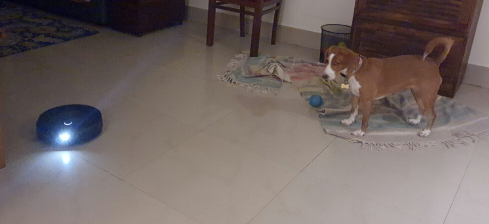 Pathu is still very suspicious of Roomba.
