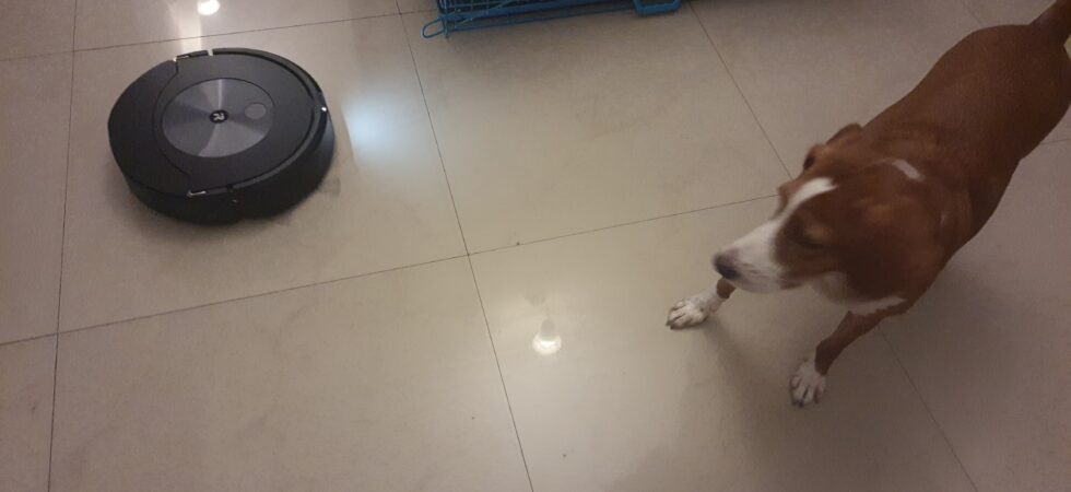 Pathu, as usual, is very suspicious of machines.