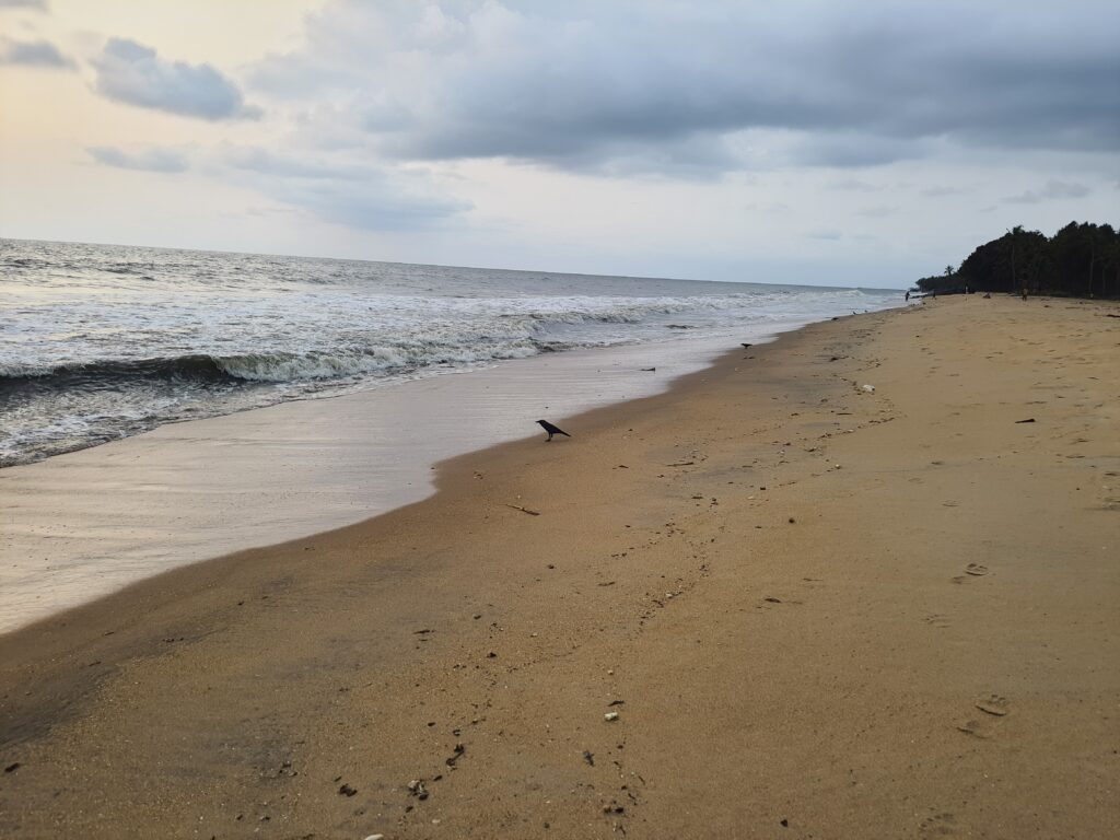 Vadanapally Beach