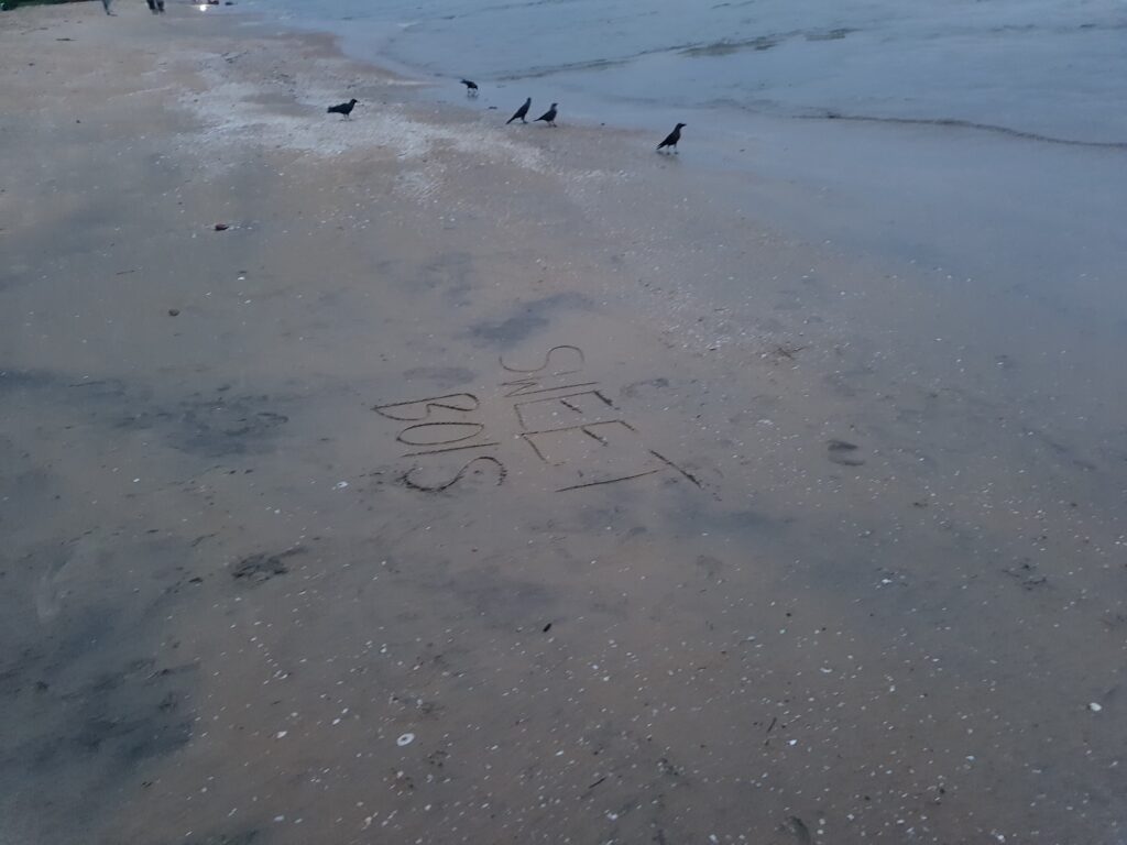 Snehatheeram Beach. I think crows make good outdoor pets.