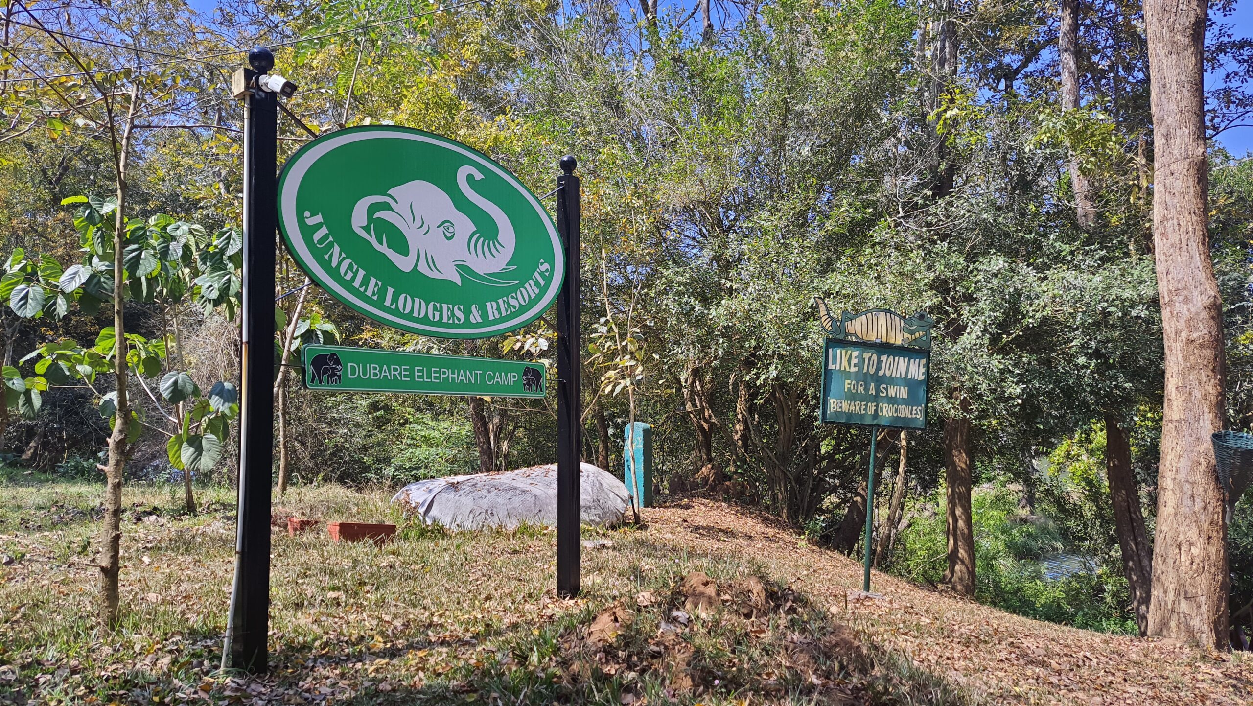 Dubare Elephant Camp and Jungle Lodges